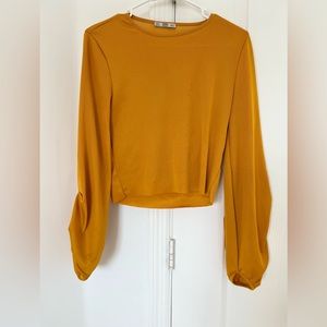 Zara beautiful sleeves top.